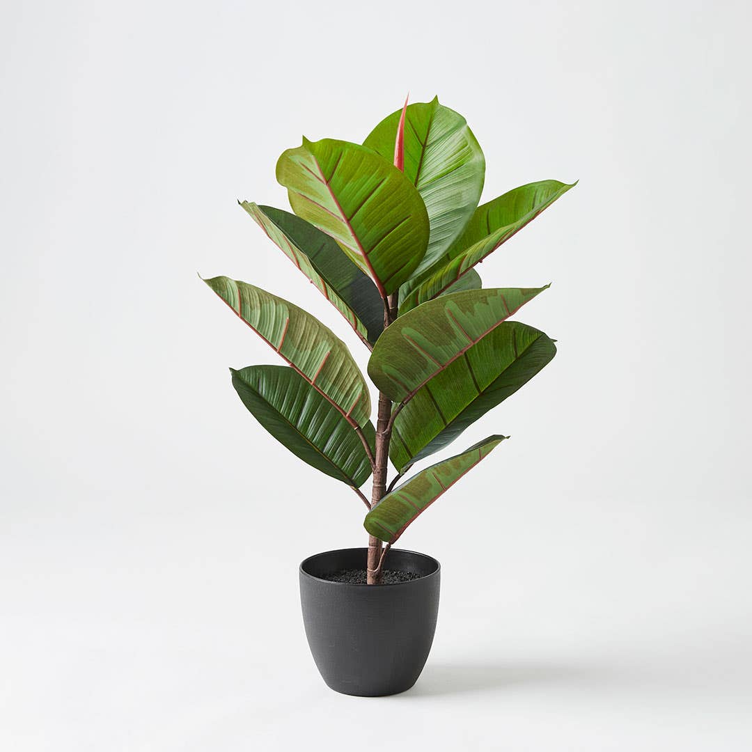 Real Touch Rubber Tree 58cm