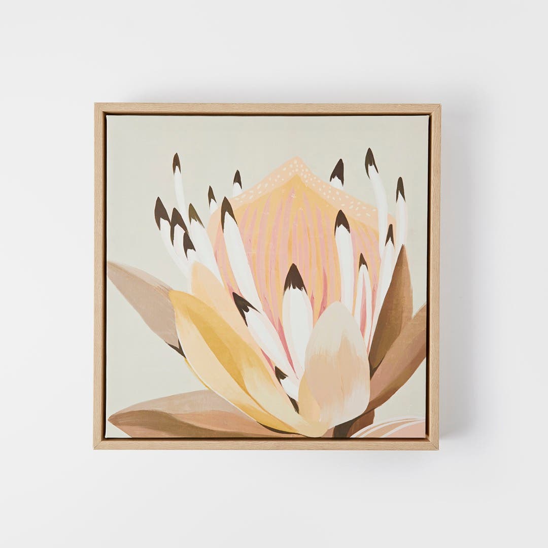 Protea Framed Canvas Print